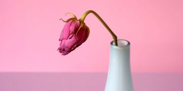 Góc giải đáp: Khô hạn có nguy hiểm không?